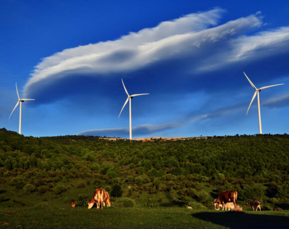 Φωτογραφία: Μιχάλης Κωνσταντινίδης