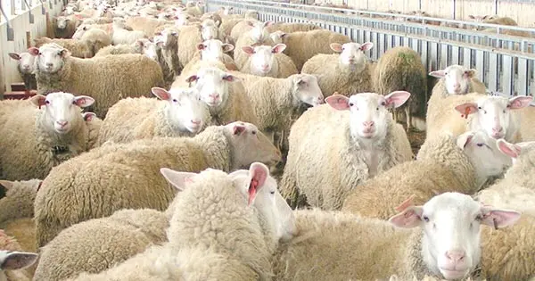 Περί επιλεκτικής ευαισθησίας