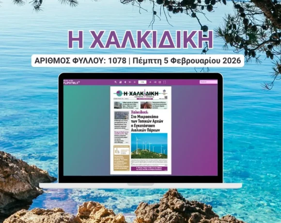 Η ΧΑΛΚΙΔΙΚΗ COVER (15)