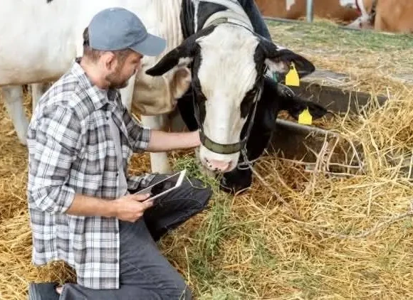 ΔΕΥΕΡΗ ΕΥΚΑΙΡΕΙΑ