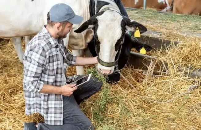 ΔΕΥΕΡΗ ΕΥΚΑΙΡΕΙΑ