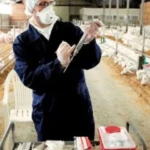 ΚΤΗΝΙΑΤΡΟΙ-854x480